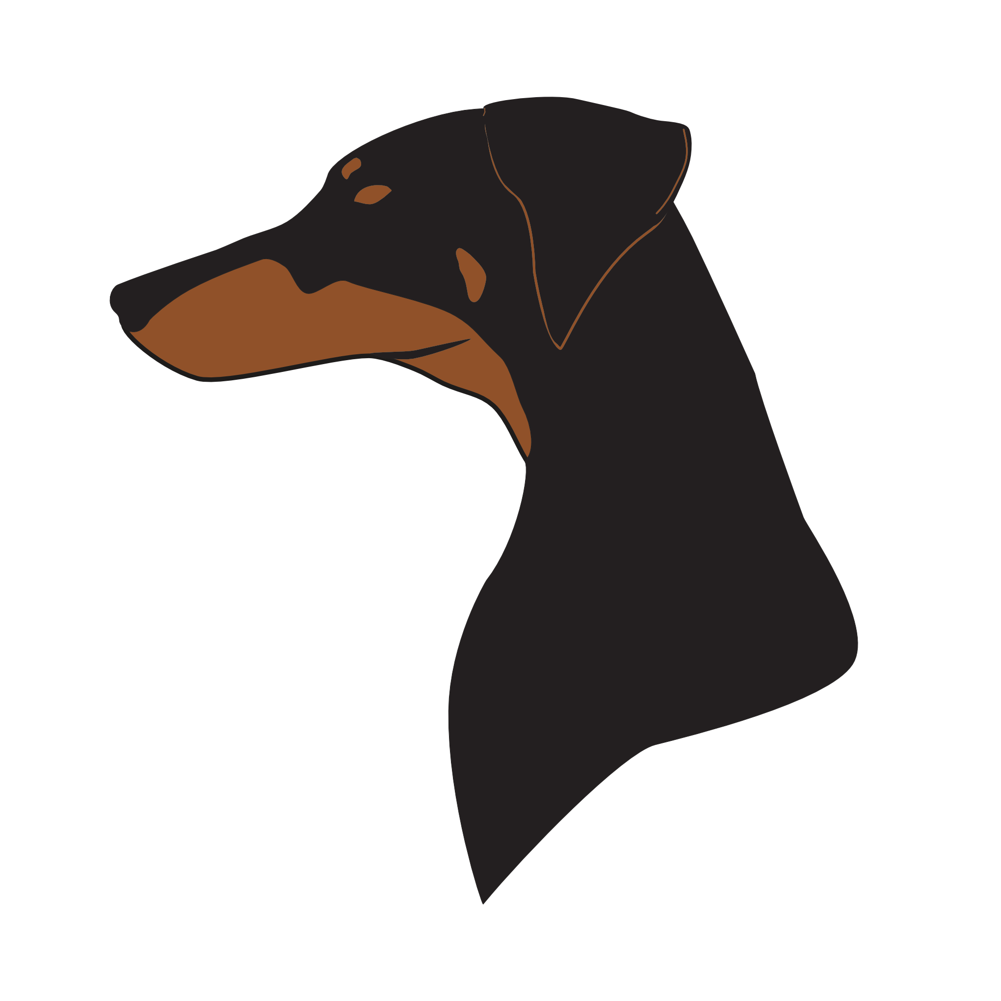 DCQ Logo